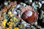 Cuprite